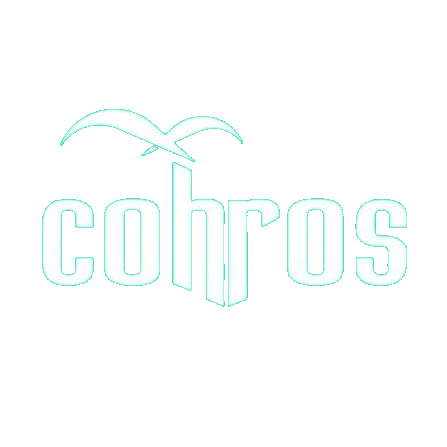 Cohros - Plataforma de gestão estratégica de pessoas: cargos, salários e desempenho